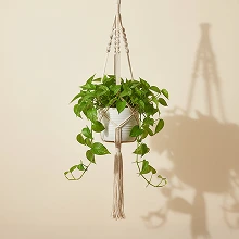 Suspension Macramé Pour Plante — Décoration Personnalisable